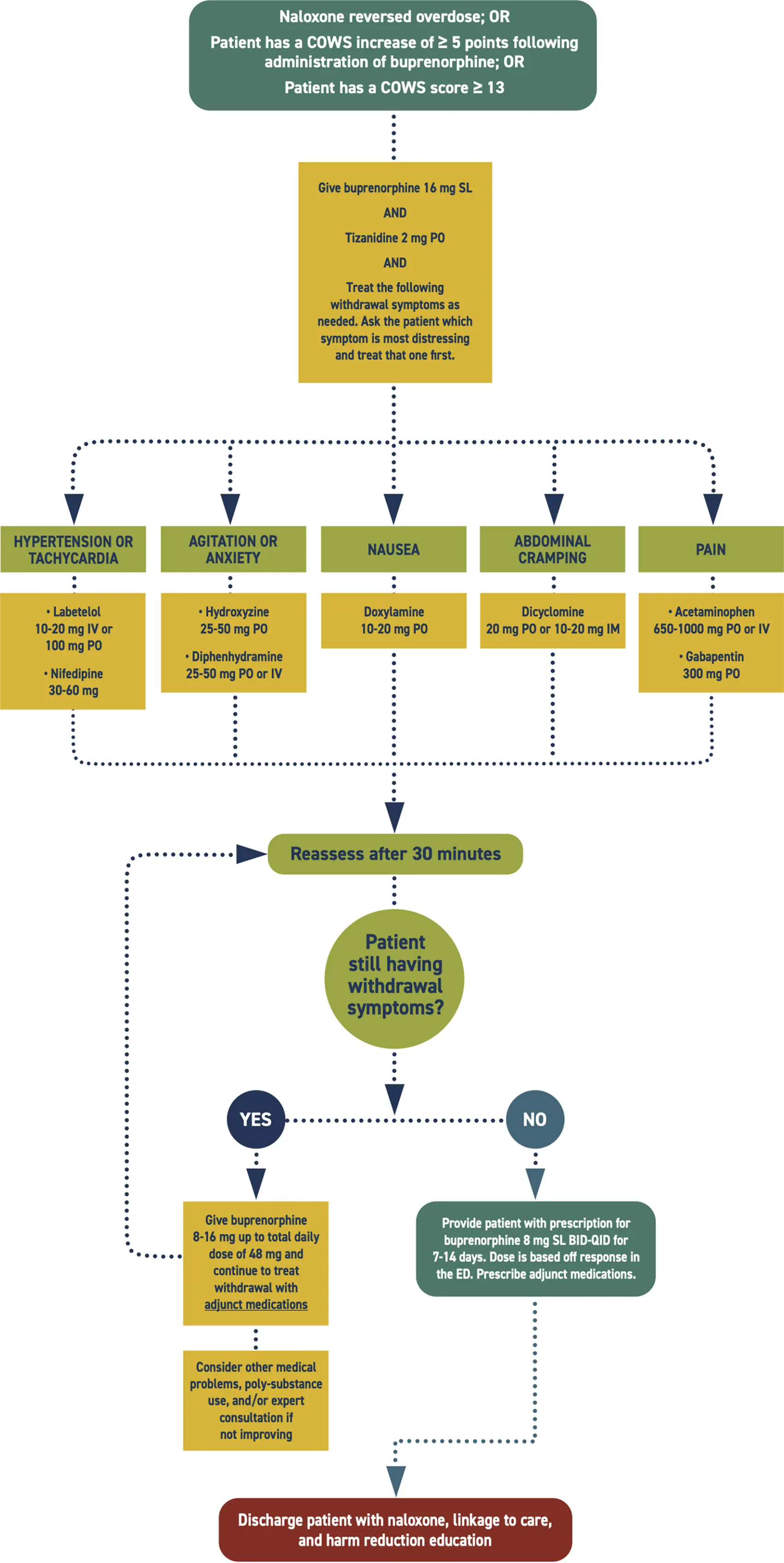 Protocol of ED Opioid Withdrawal in Pregnancy