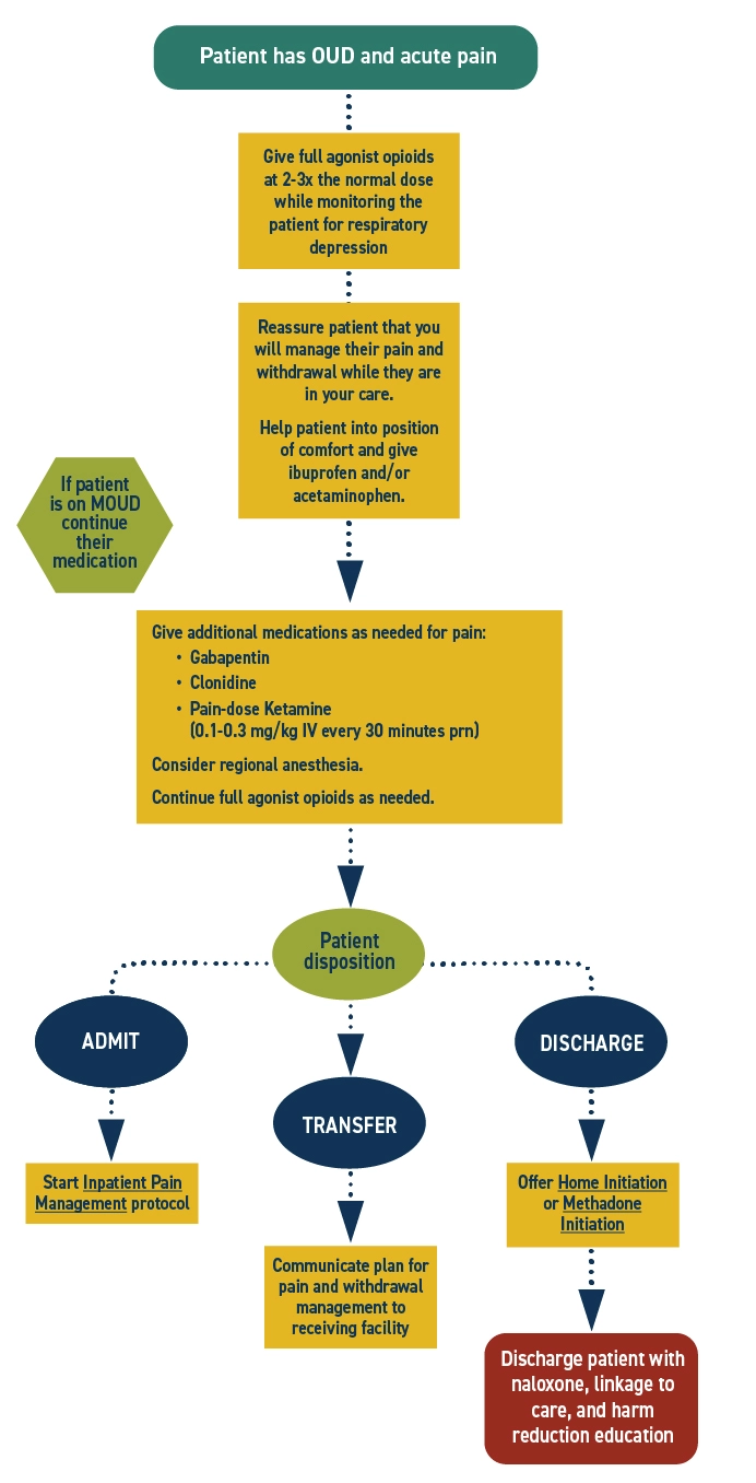 Pain Management Protocol Flowchart